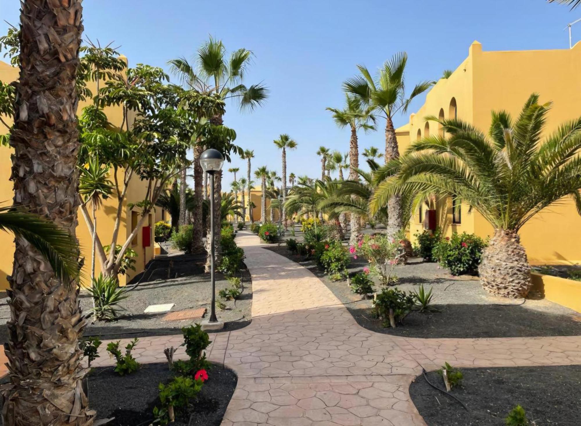 Casa Perseo - Oasis Papagayo Lejlighedshotel Corralejo Eksteriør billede